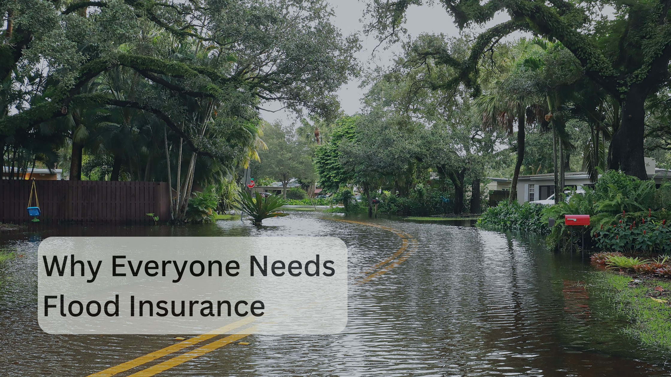 Why Everyone Needs Flood Insurance